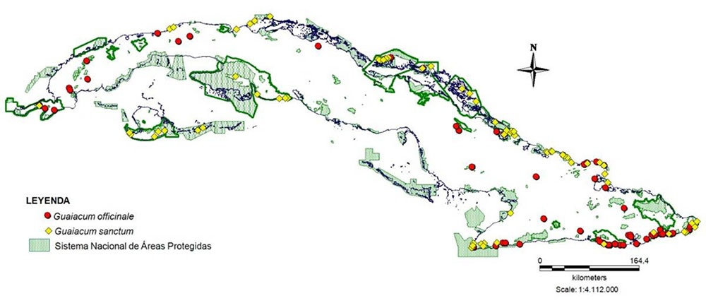 Distribución de Guaiacum officinale y Guaiacum sanctum y su representatividad en el Sistema Nacional de Áreas Protegidas de Cuba.