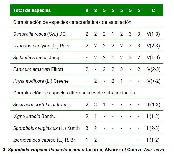 Phylo nodiflorae-Panicetum amari Ricardo, Álvarez et Cuervo Ass. nova, Phylo nodiflorae-Panicetum amari typicum Ricardo, Álvarez et Cuervo Subass. nova, Phylo nodiflorae-Panicetum amari Sporoboletosum virginici Ricardo, Álvarez et Cuervo Subass. nova. (•) absence of species, (r) single or few individuals with very low coverage, (+) few individuals and coverage, (1) abundant species or few individuals with low coverage, (2) any number of individuals with coverage of 5-25%, (3) any number of individuals with coverage of 25.1-50%. C- constancy: I- 0-20%, II- 20.1-40%, III- 40.1-60%, IV-60.1-80%, V- 80.1-100%.